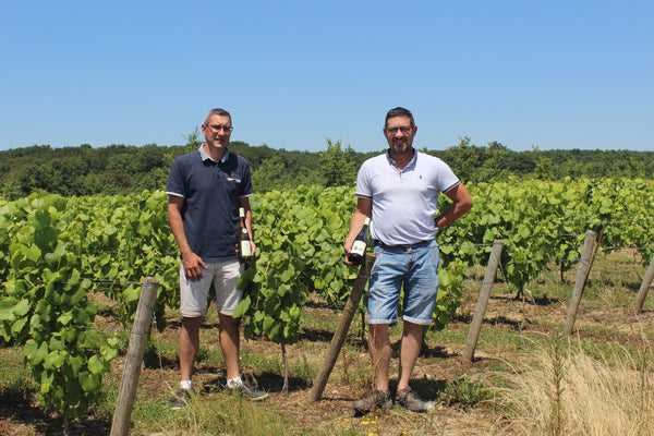 Domaine de – Lie, Sevre Muscadet France et Colline, 2022 La The Beagle Sur Maine Wine