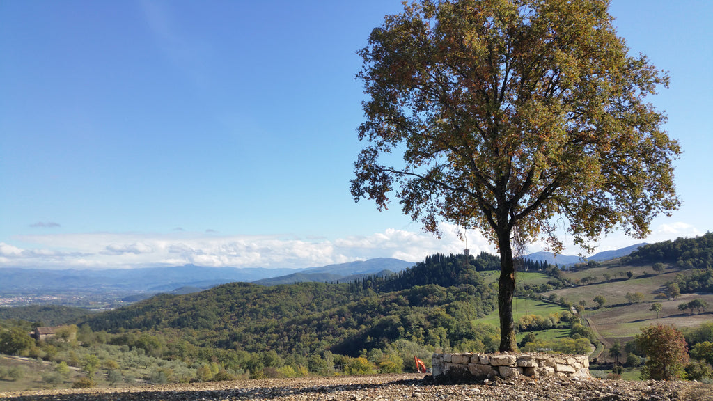 Cycling to Sicily Part II: The Food