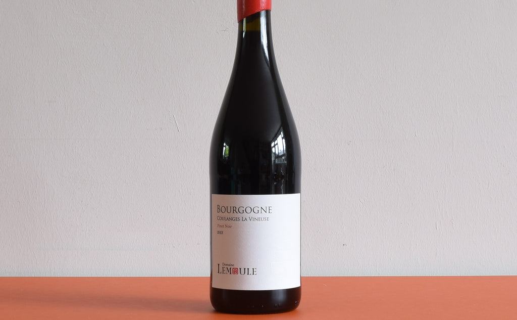 Domaine Lemoule, Coulanges-La-Vineuse Pinot Noir, Burgundy, France 2023