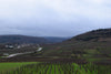 Domaine Roy, Auxey-Duresses 1er Cru, Climat du Val, Burgundy, France 2022