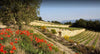 Domaines Bunan, Moulin des Costes, Bandol Rose, France 2023