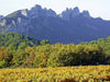 Chateau Redortier 