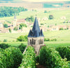 Fresne-Ducret, Arquémie n°6, Blanc de Noirs, Brut Nature