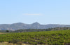 Mas de la Deveze, Cotes du Roussillon Villages Tautavel Red, France 2024