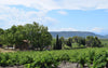 Mas de la Deveze, 'Pandore', Cotes du Roussillon White, France 2023